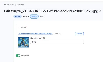 Entity Usage: vyznejte se v propojeném obsahu v Drupalu Entity Usage: vyznejte se v propojeném obsahu v Drupalu