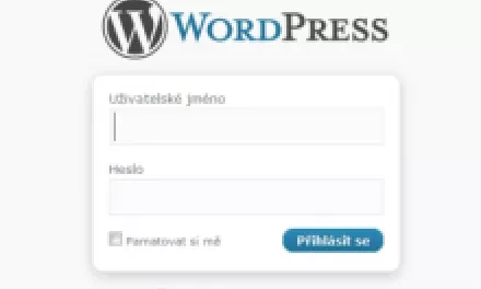 WordPress 3.1 Reinhardt – přehled novinek