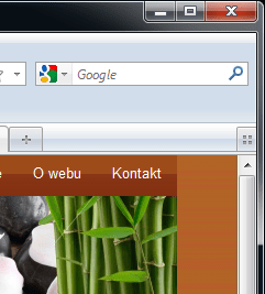 Firefox 3.6 ve Windows 7